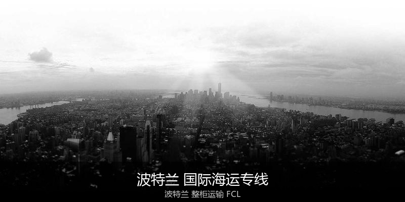 海运拼箱与整柜运输优劣对比